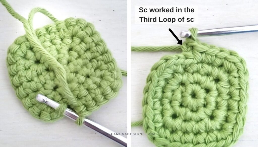 Third Loop of Single Crochet - Raffamusa Designs